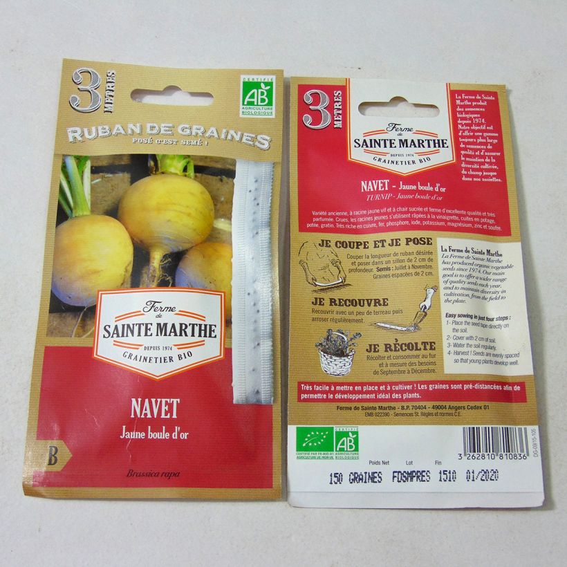 Example of Rapa Boule d'Or (Semi a nastro) Semi su nastro as you get