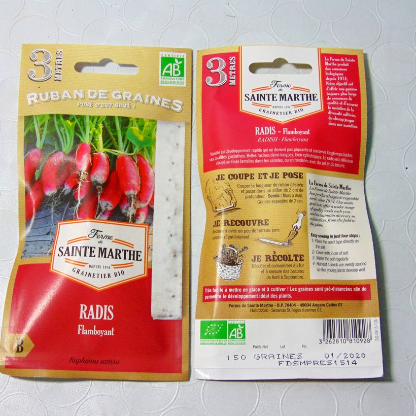 Esempio di esemplare Ravanello Flamboyant (Semi a nastro) sacchetto di semi da 1 grammi come consegnato