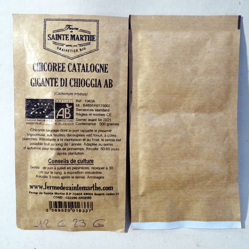 Esempio di esemplare Cicoria Catalogna Gigante di Chioggia sacchetto di 500 semi circa come consegnato