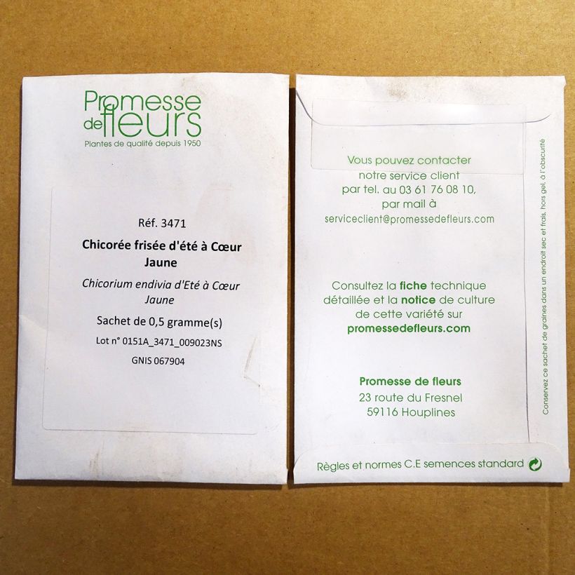 Esempio di esemplare Indivia riccia d'été à Cœur Jaune sacchetto di 300 semi circa (0.5g) come consegnato