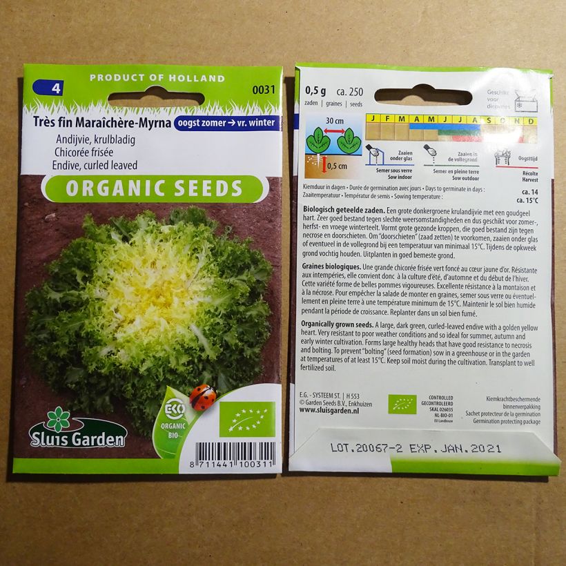 Esempio di esemplare Indivia riccia Myrna Bio sacchetto di 500 semi circa (0.8g) come consegnato