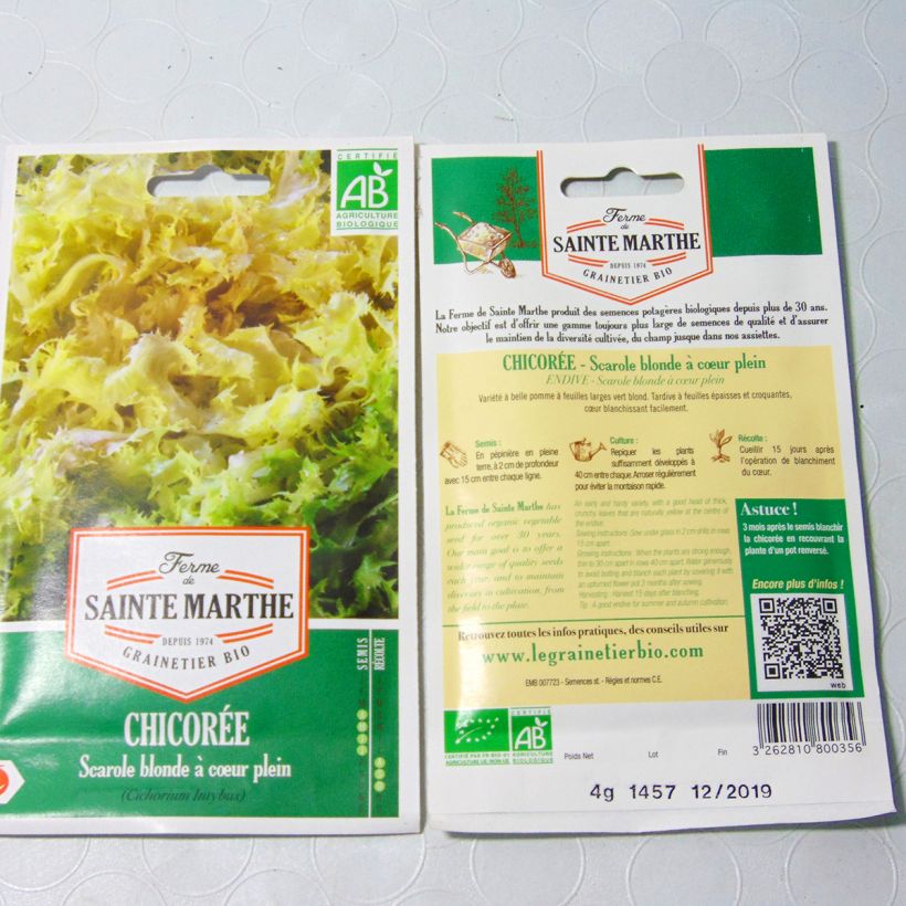 Esempio di esemplare Cicoria scarola Bionda dal cuore Bio - Ferme de Sainte Marthe sacchetto di 2500 semi circa (4g) come consegnato