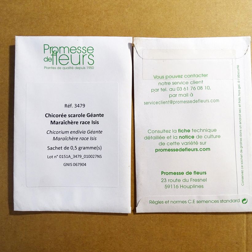 Example of Cicoria scarola Gigante di Maraichere Isis sacchetto di 300 semi circa (0.5g) as you get