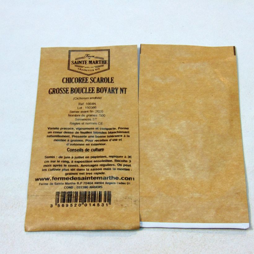 Esempio di esemplare Cicoria scarola gigante riccia Grosse Bouclée Bovary NT sacchetto di 500 semi circa come consegnato