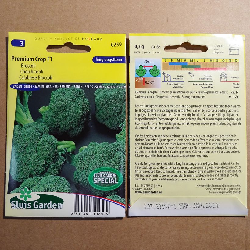 Esempio di esemplare Cavolo broccolo Premium Crop F1 sacchetto di 65 semi circa come consegnato