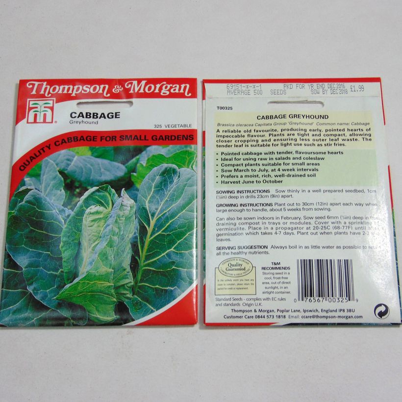 Esempio di esemplare Cavolo cappuccio Greyhound sacchetto di 500 semi circa come consegnato