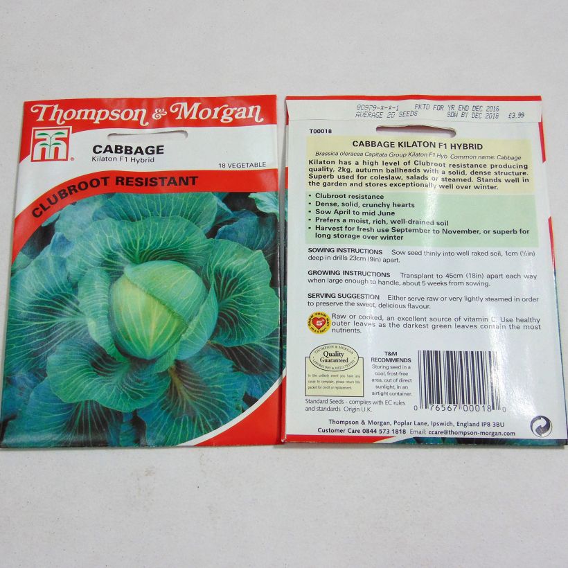 Esempio di esemplare Cavolo cappuccio Kilaton F1 sacchetto di 20 semi circa come consegnato