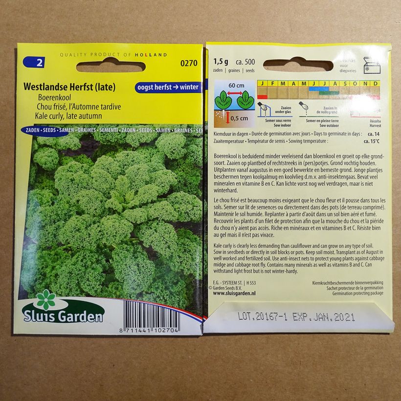 Esempio di esemplare Cavolo riccio sabellica sacchetto di 500 semi circa (1g) come consegnato