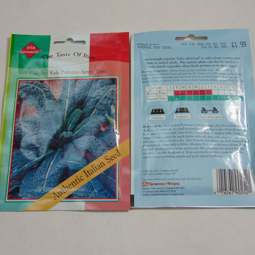 Esempio di esemplare Cavolo riccio Il Cavolo Palmizio sacchetto di 2500 semi circa come consegnato
