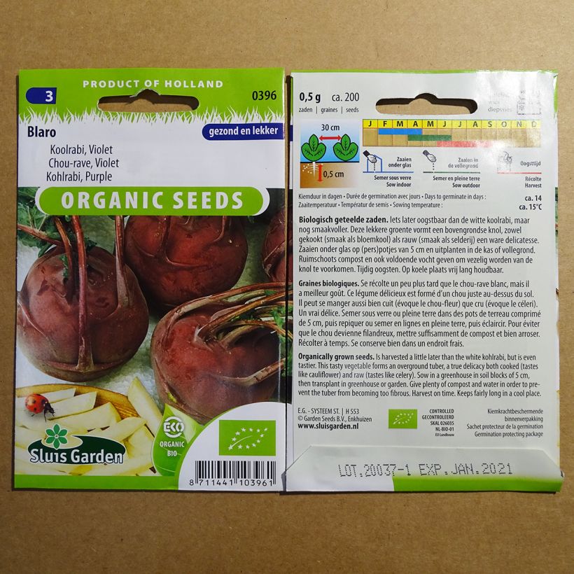 Esempio di esemplare Cavolo rapa Blaro Violet sacchetto di 200 semi circa come consegnato