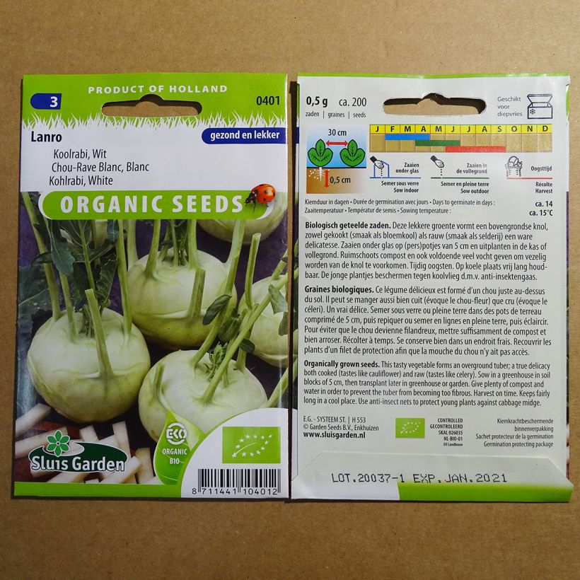 Esempio di esemplare Cavolo rapa Lanro Blanc BIO sacchetto di 200 semi circa come consegnato
