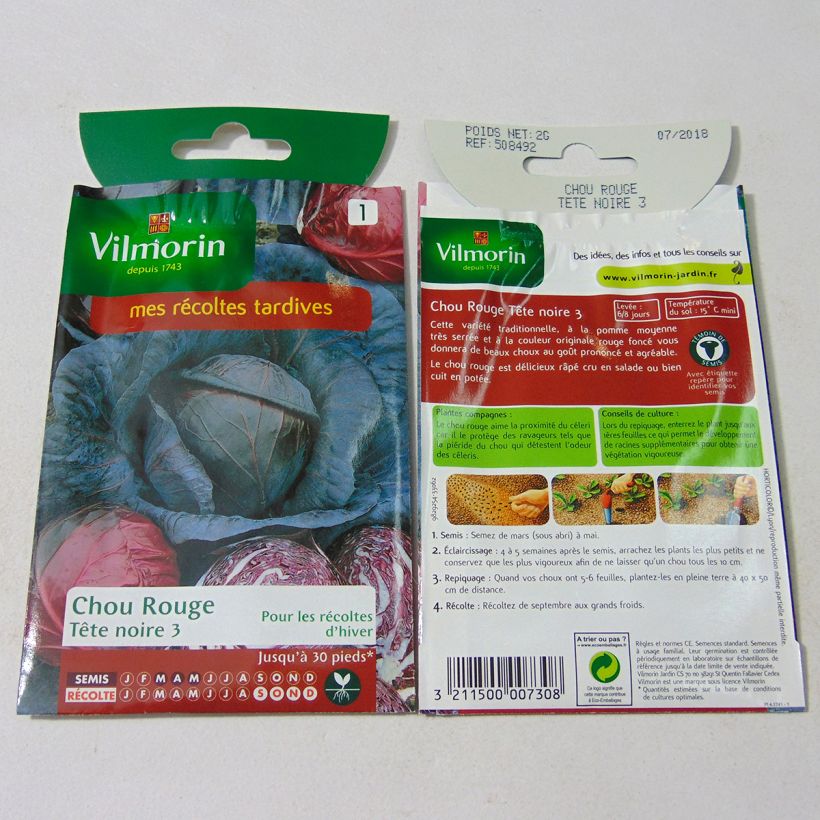 Esempio di esemplare Cavolo cappuccio Rosso Testa nera 3 sacchetto di 800 semi circa (2g) come consegnato