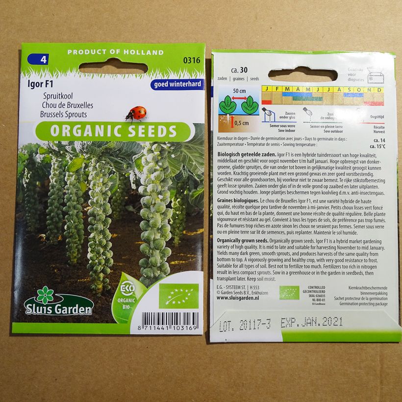Esempio di esemplare Cavolini di Bruxelles Igor F1 Bio sacchetto di 30 semi circa come consegnato