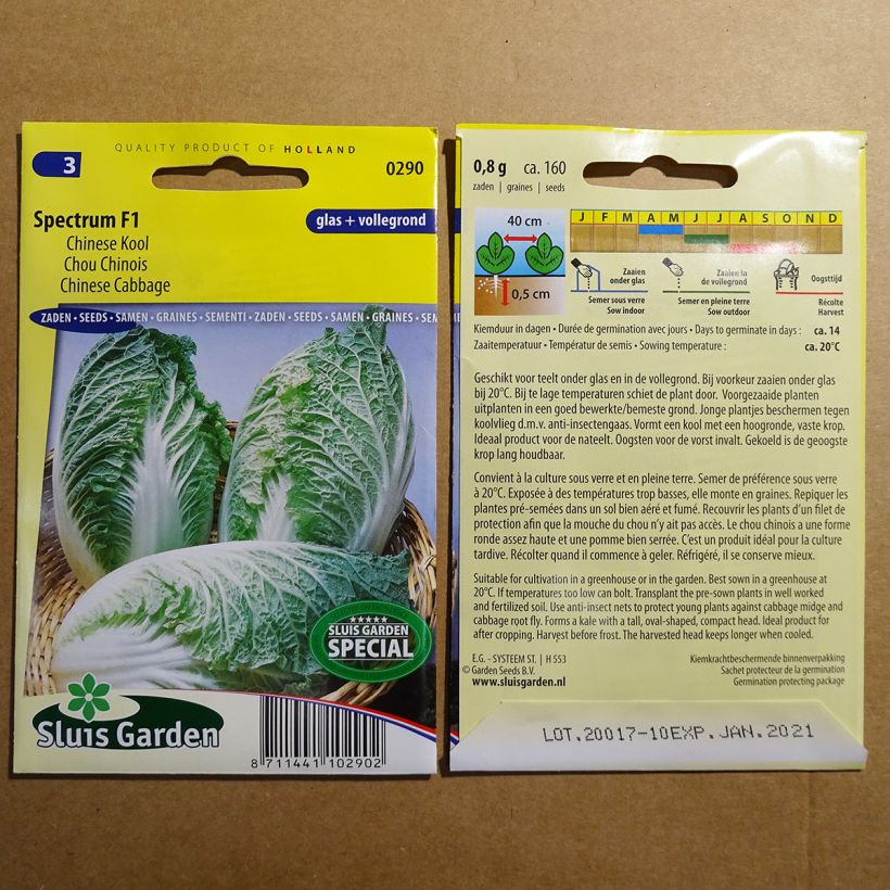 Esempio di esemplare Cavolo cinese Spectrum F1 sacchetto di 160 semi circa come consegnato