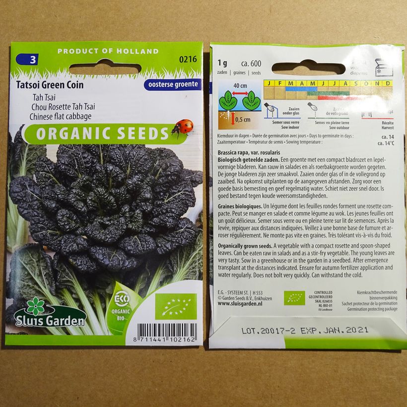 Esempio di esemplare Cavolo cinese Tah Tsai sacchetto di 400 semi circa (1g) come consegnato