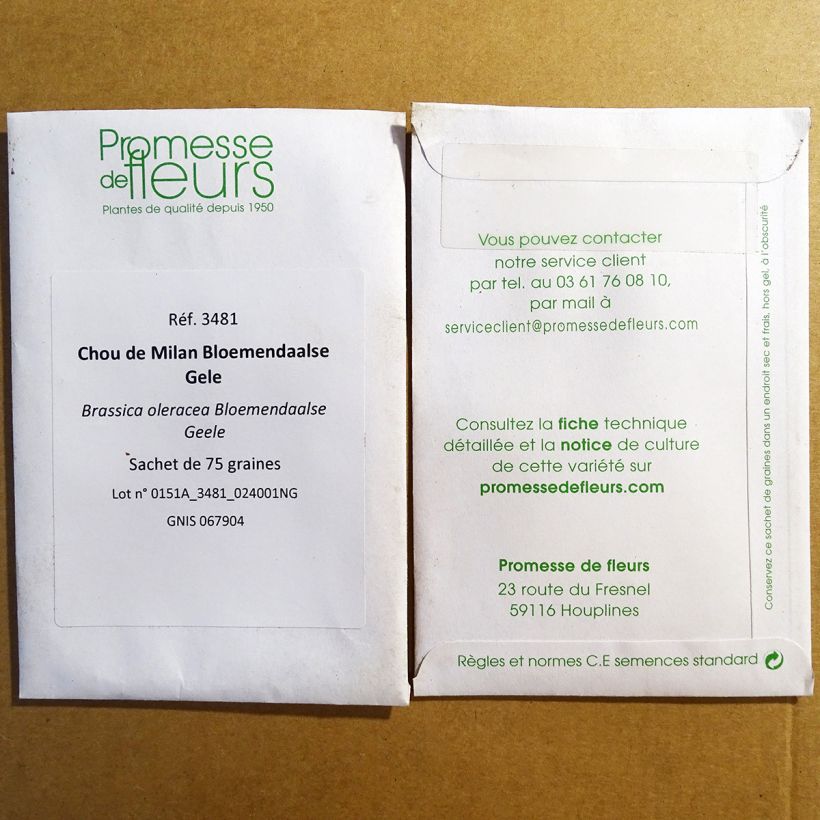 Esempio di esemplare Cavolo verza Bloemendaalse Gele sacchetto di 75 semi circa come consegnato