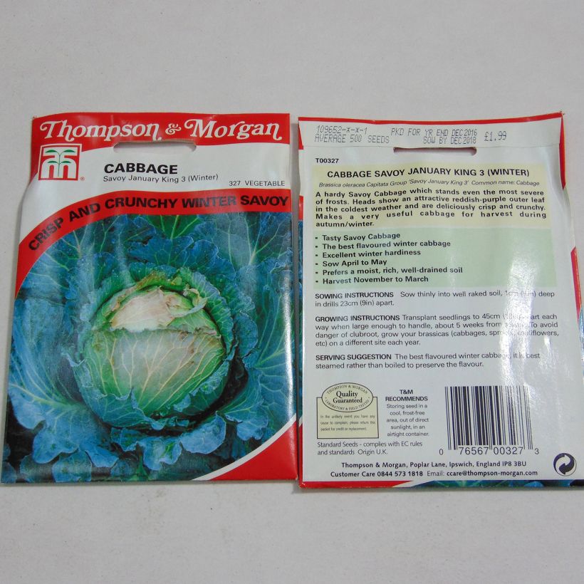 Esempio di esemplare Cavolo verza January King 3 sacchetto di 500 semi circa come consegnato