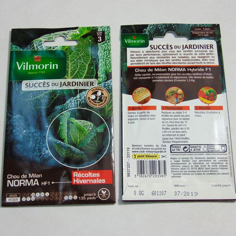 Example of Cavolo verza Norma F1 Semi as you get