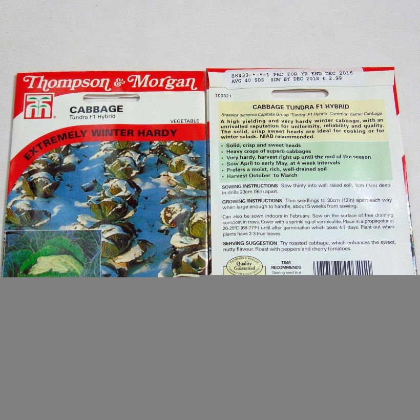 Esempio di esemplare Cavolo verza Tundra F1 sacchetto di 40 semi circa come consegnato