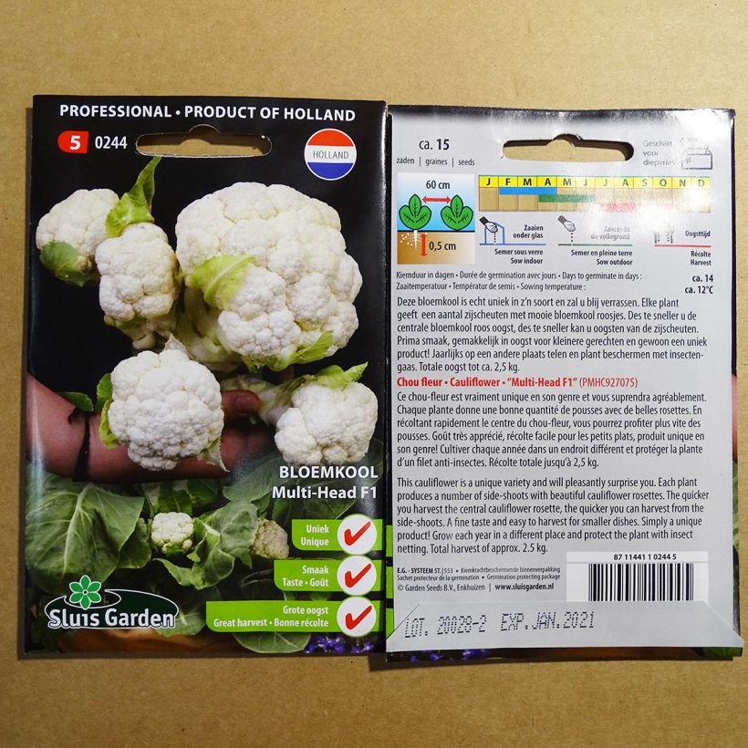 Example of Cavolfiore Multi-head F1 sacchetto di 15 semi circa as you get