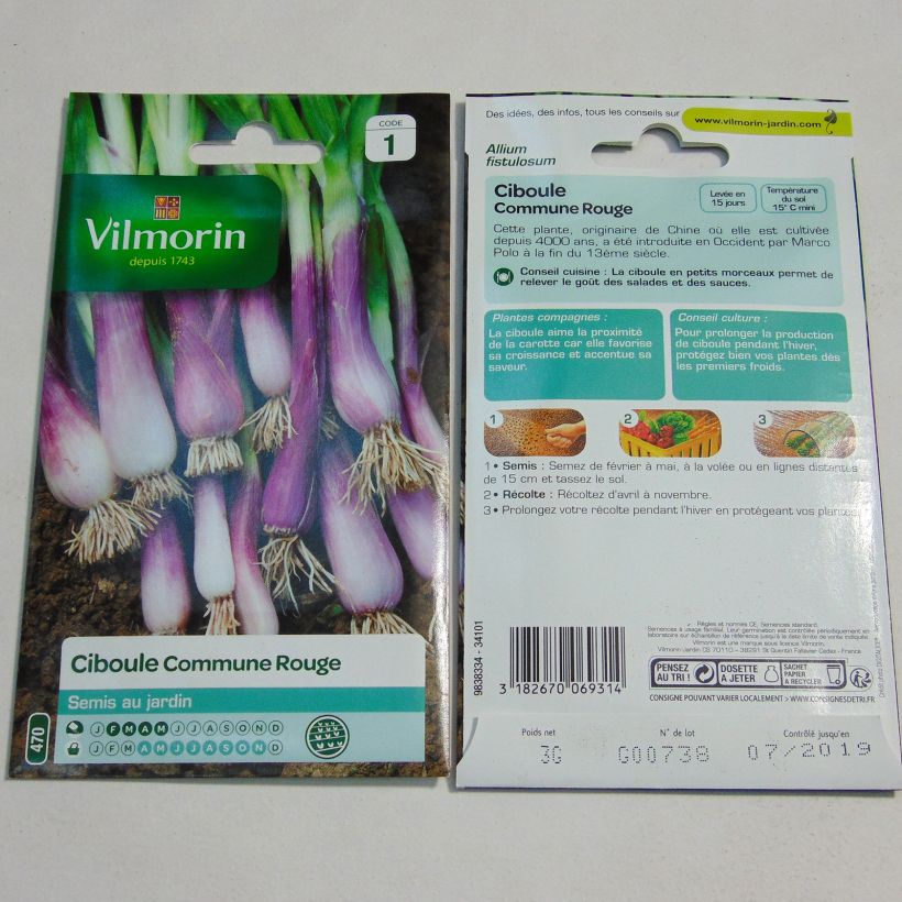 Esempio di esemplare Cipolla d'inverno rosso - Vilmorin sacchetto di 1400 semi circa (3g) come consegnato