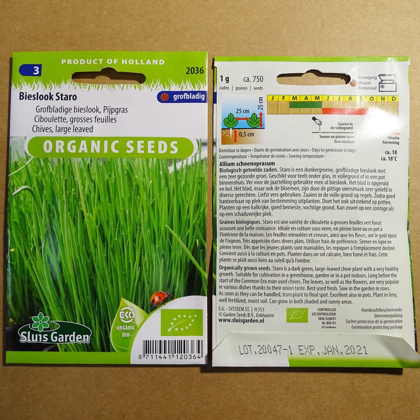 Esempio di esemplare Erba cipollina Staro Bio sacchetto di 750 semi circa (1g) come consegnato