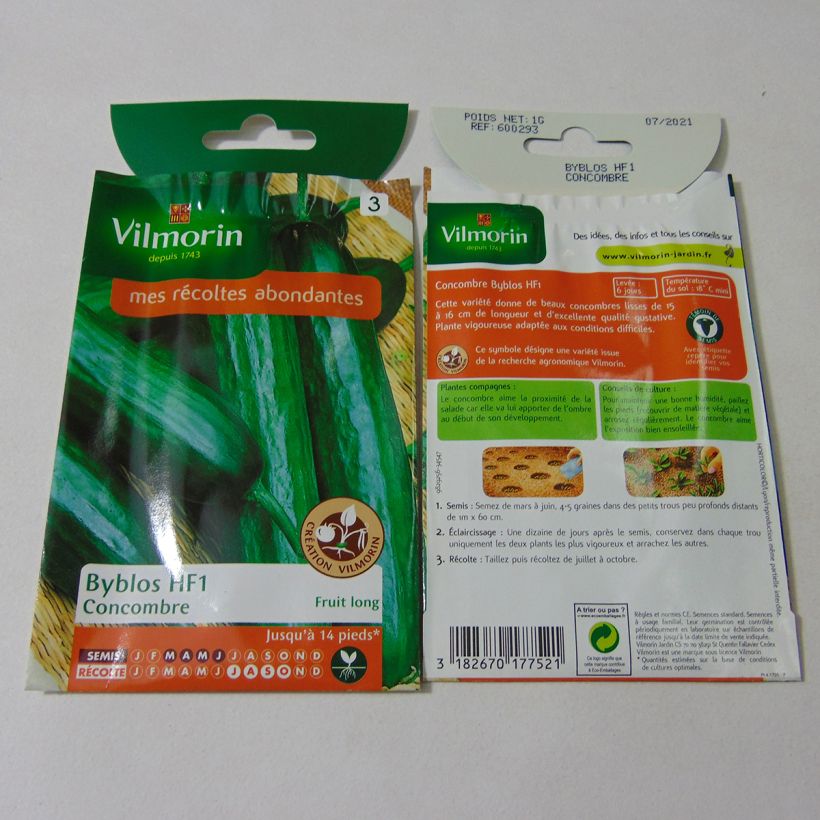 Esempio di esemplare Cetriolo Byblos sacchetto di 35 semi circa (1g) come consegnato