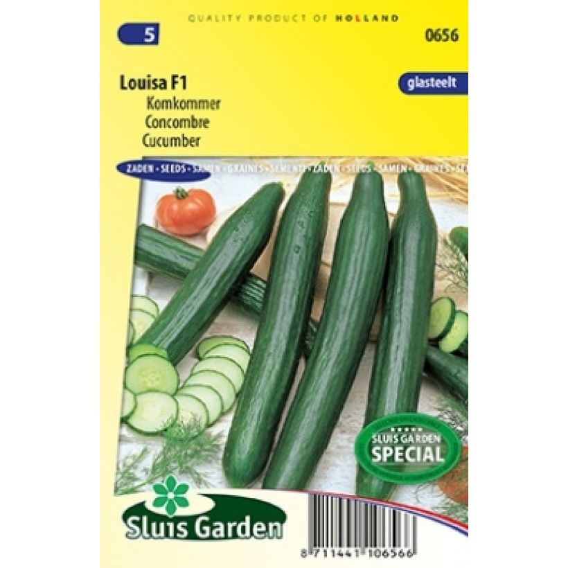 Esempio di esemplare Cetriolo Louisa F1 sacchetto di 7 semi circa come consegnato