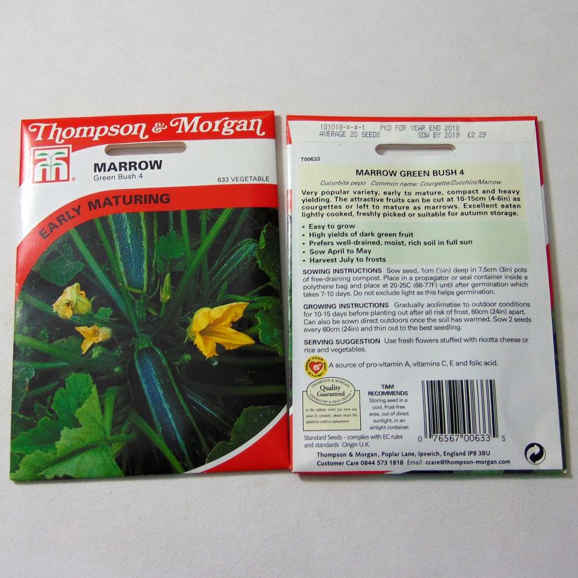 Esempio di esemplare Zucchino Green Bush 4 sacchetto di 25 semi circa come consegnato