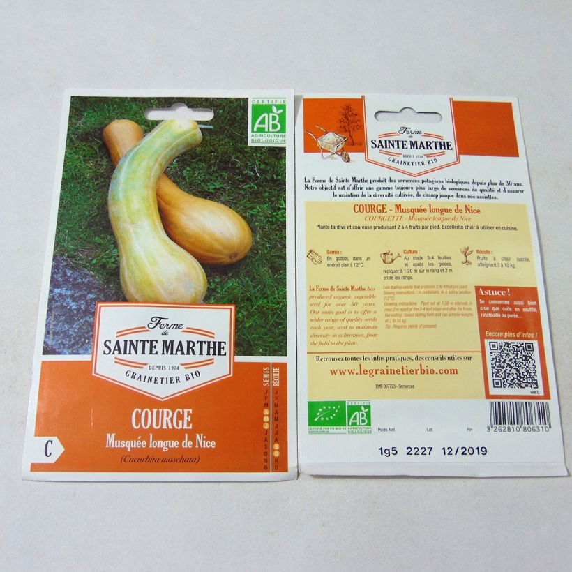 Esempio di esemplare Zucca moscata Lunga di Nizza sacchetto di 15 semi circa (1,5g) come consegnato