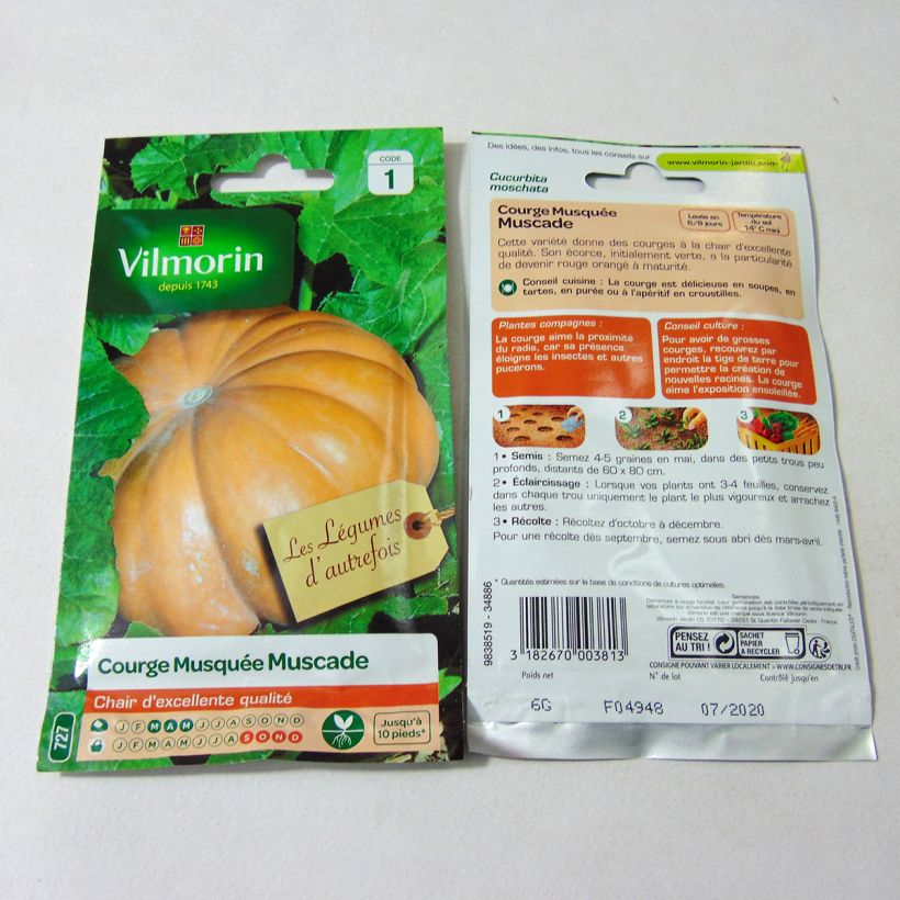 Esempio di esemplare Zucca moscata di Provenza - Vilmorin sacchetto di 35 semi circa (6g) come consegnato