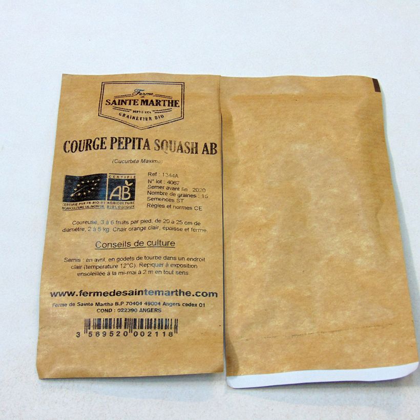 Esempio di esemplare Zucca Yoeme Kama Pepita Squash sacchetto di 20 semi circa (6g) come consegnato