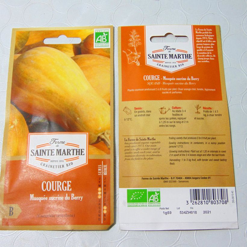 Esempio di esemplare Zucca moscata Sucrine du Berry sacchetto di 8 semi circa (1.2g) come consegnato