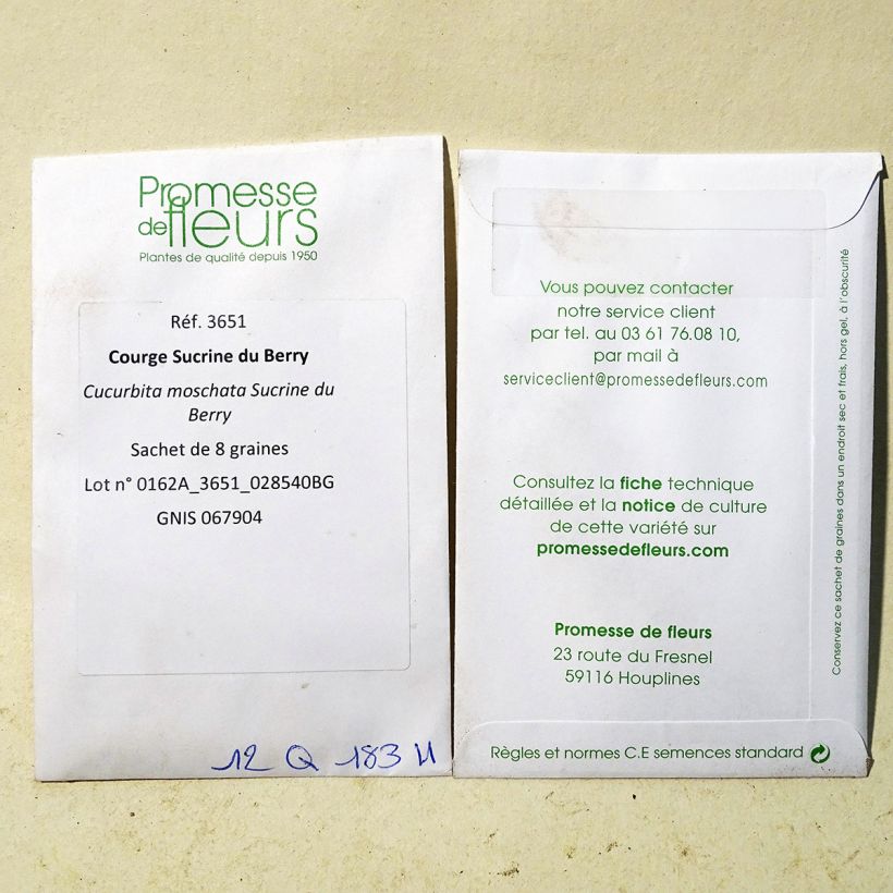 Esempio di esemplare Zucca moscata Sucrine del Berry sacchetto di 8 semi circa come consegnato