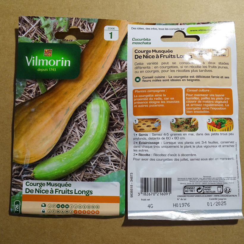 Example of Zucchino trombetta di Nica - Vilmorin sacchetto di 24 semi circa (4g) as you get