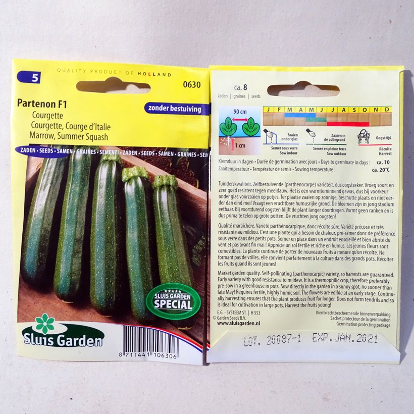 Esempio di esemplare Zucchino Partenon F1 sacchetto di 8 semi circa come consegnato