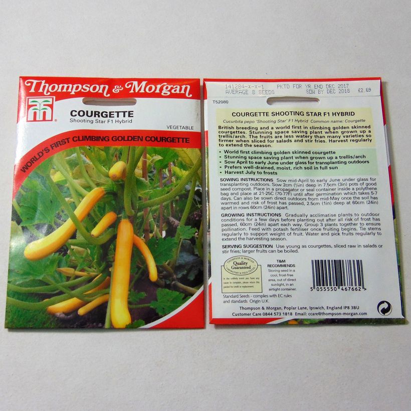 Esempio di esemplare Zucchino Shooting Star F1 sacchetto di 8 semi circa come consegnato