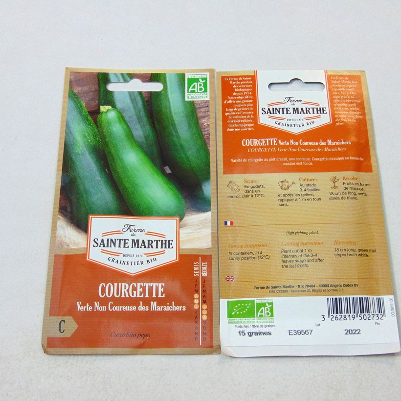 Esempio di esemplare Zucchino Verde non coureuse sacchetto di 15 semi circa (1g) come consegnato