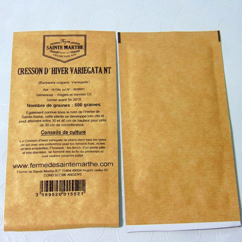 Esempio di esemplare Barbarea vulgaris Variegata - Erba di Santa Barbara comune sacchetto di 500 semi circa come consegnato