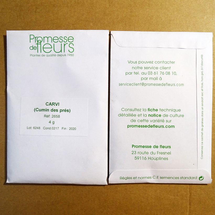 Esempio di esemplare Carum carvi (semi) - Kummel sacchetto di 1250 semi circa (4g) come consegnato