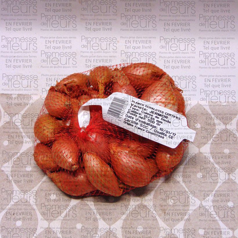 Example of Scalogno Jermor Pezzo taglia 15/35 mm as you get