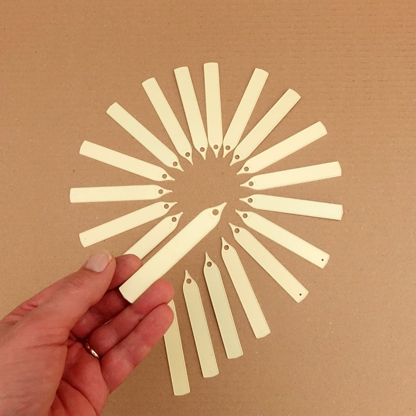 Example of Etichetta stretta da piantare avorio Confezione as you get