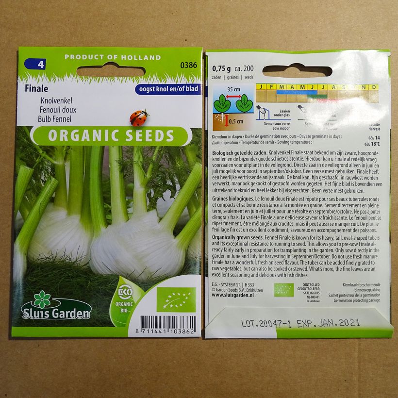 Esempio di esemplare Finocchio Finale sacchetto di 250 semi circa (1g) come consegnato
