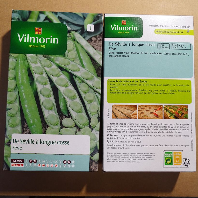 Esempio di esemplare Fava di Siviglia sacchetto di 125 semi circa (250g) come consegnato