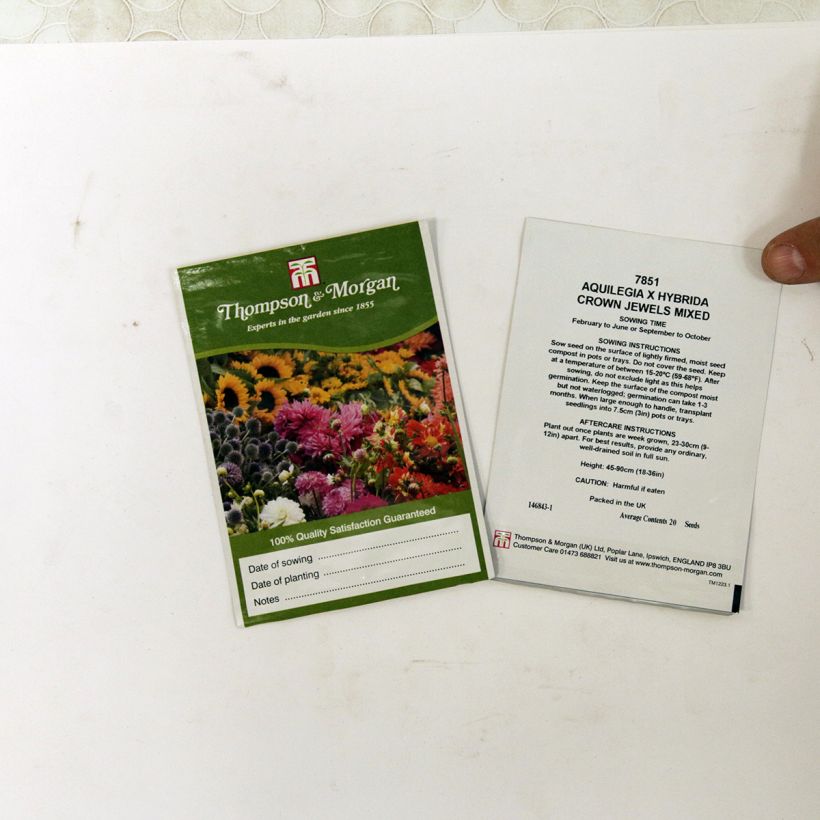 Esempio di esemplare Aquilegia Crown Jewels Mixed sacchetto di 20 semi circa come consegnato