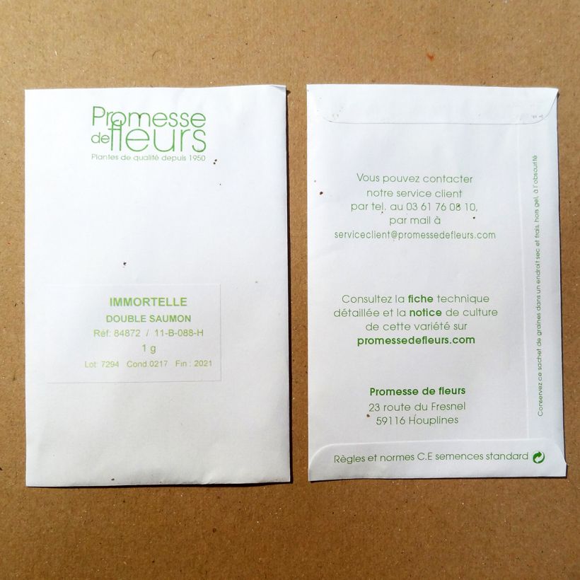 Esempio di esemplare Helichrysum bracteatum monstruosum Double Saumon - Elicriso lucido sacchetto di 500 semi circa (0,4g) come consegnato