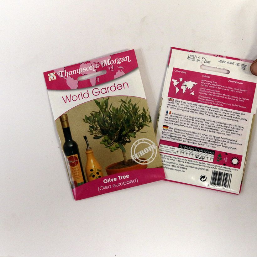 Esempio di esemplare Olea europaea (semi) - Olivo sacchetto di 25 semi circa come consegnato