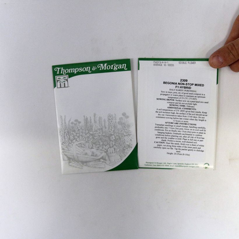 Esempio di esemplare Begonia Non-Stop Mixed F1 sacchetto di 40 semi circa come consegnato