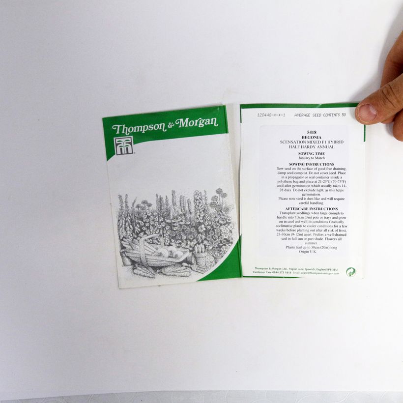 Esempio di esemplare Begonia Scentsation Mixed F1 sacchetto di 50 semi circa come consegnato