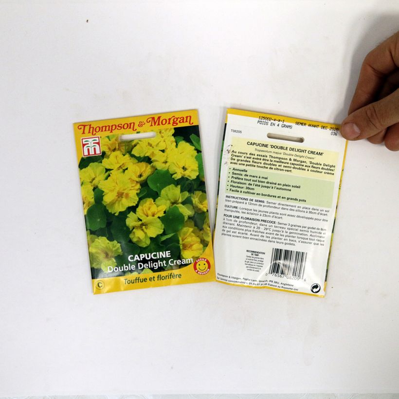 Esempio di esemplare Nasturzio Double Delight Cream sacchetto di 3 semi circa come consegnato